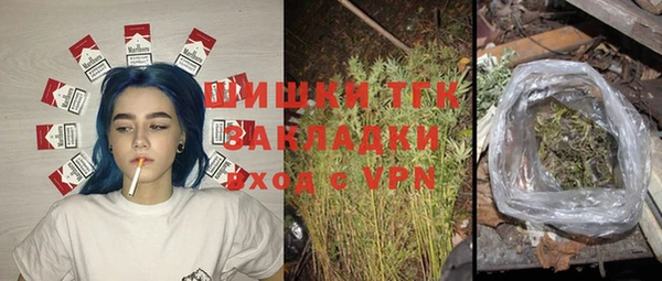 мдпв Осташков