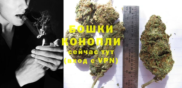 марки lsd Пересвет