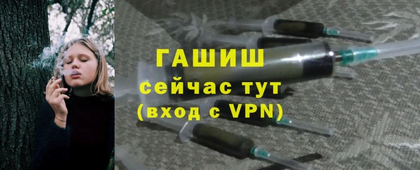 мдпв Осташков