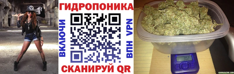 как найти   Исилькуль  Конопля MAZAR 